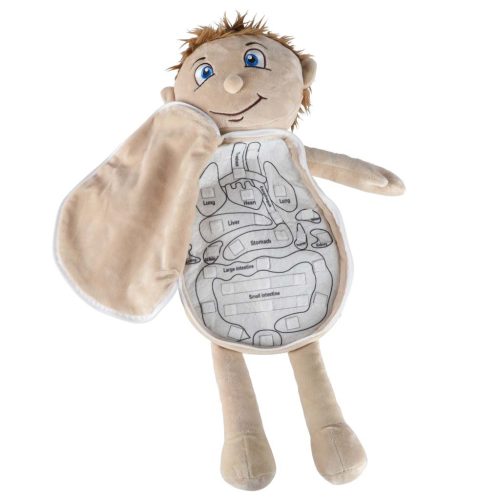 Anatómiai Plüss, oktató baba gyerekeknek, tépőzáras szervekkel, fiú