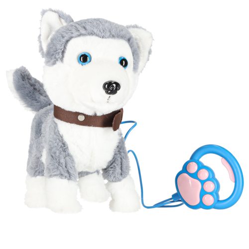 Interaktív kutya pórázon sétál, sétál, csóválja a farkát Husky