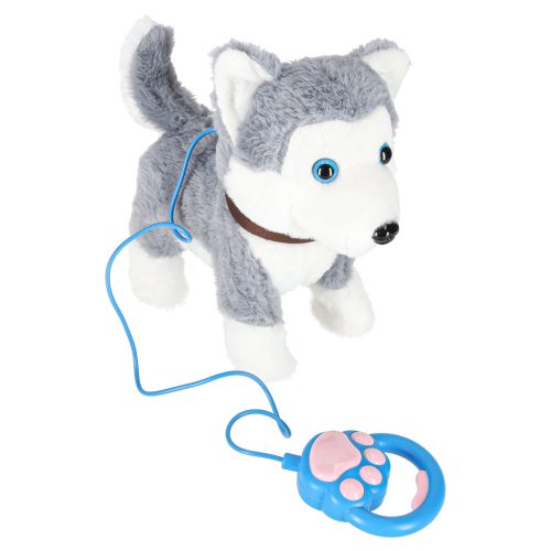 Interaktív kutya pórázon sétál, sétál, csóválja a farkát Husky