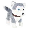 Interaktív kutya pórázon sétál, csóválja a farkát - Husky