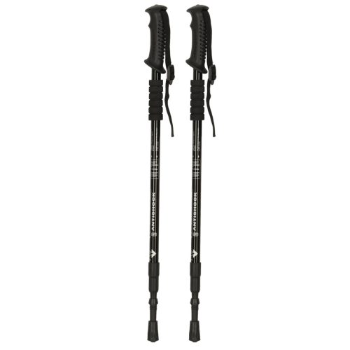 Nordic walking túrabotok, összecsukható, 2 db fekete