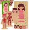 Fa montessori puzzle testrészek, lány