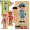 Fa puzzle montessori testrészek, fiú