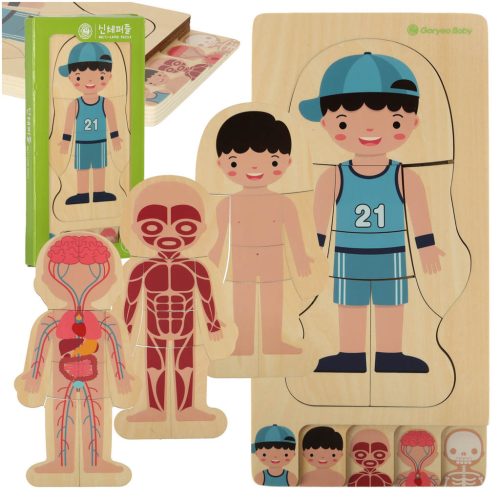 Fa puzzle montessori testrészek, fiú
