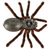 Távirányítású TARANTULA pók + távirányító