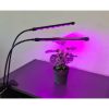 2 db 20 LED növénytermesztő UV lámpa Gardlov
