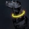 LED világító nyakörv - méretre vágható Purlov 24200