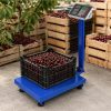 Elektronikus összecsukható platform mérleg 300kg teherbírás, lcd kijelzővel