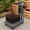 Elektronikus összecsukható platform, raktári mérleg korláttal, lcd kijelzővel, 100kg/20g