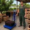 Akkumulátoros digitális raktári mérleg 100kg / 20g – Összecsukható ipari mérleg