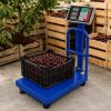 Akkumulátoros digitális raktári mérleg 100kg / 20g – Összecsukható ipari mérleg