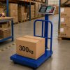 Akkumulátoros digitális raktári mérleg 300kg, Összecsukható ipari mérleg korláttal