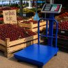 Akkumulátoros digitális raktári mérleg 300kg, Összecsukható ipari mérleg korláttal