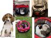 Összecsukható könnyű kutya, macska kennel