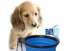 FOLDABLE DOG BOWL S kék (200) GAB_A