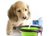 FOLDABLE DOG BOWL S zöld (200) GAB_A