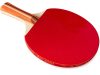 Pingpong készlet 2 db ütővel és 3 db labdával – Asztalitenisz szett praktikus hordozótáskában